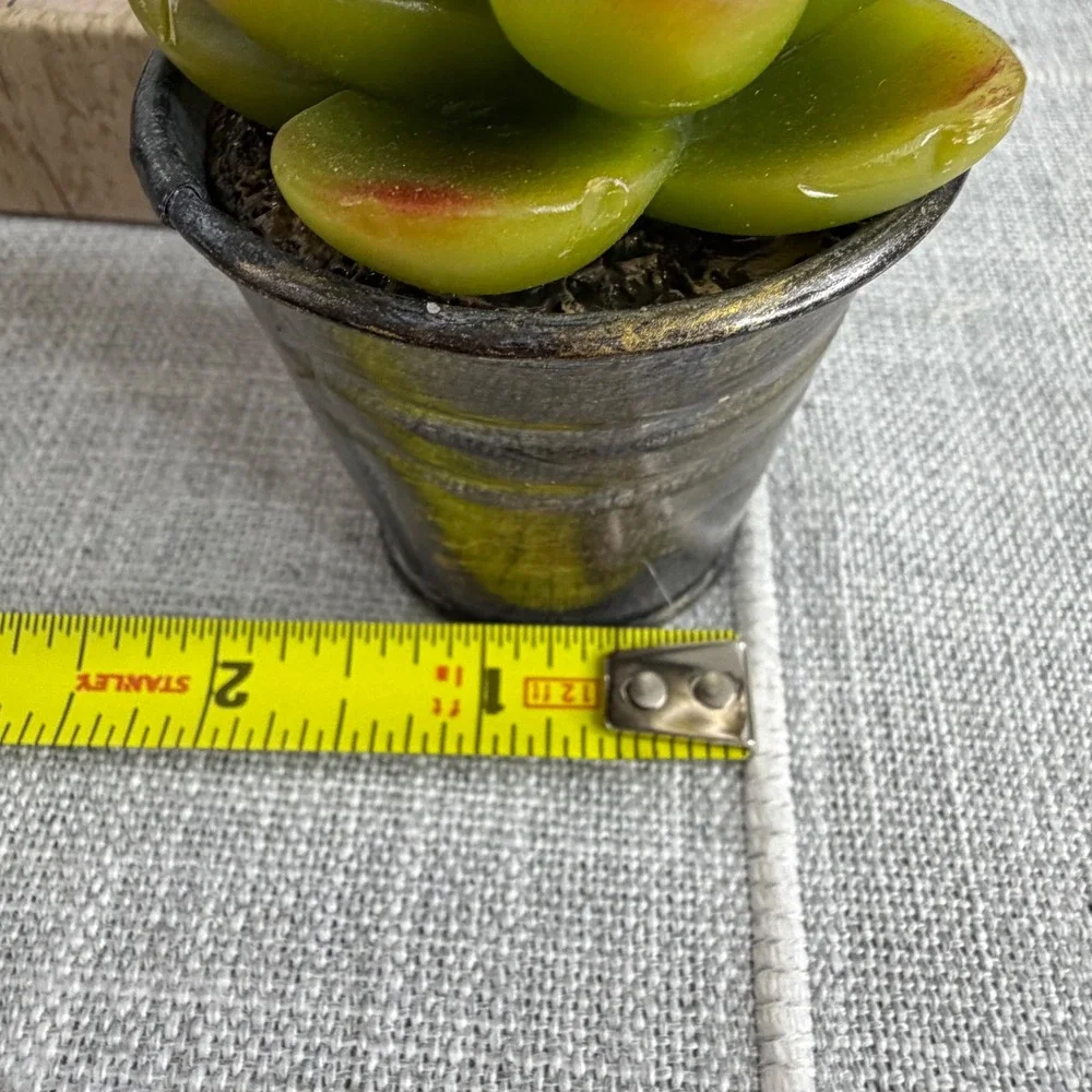 Ashland candles potted